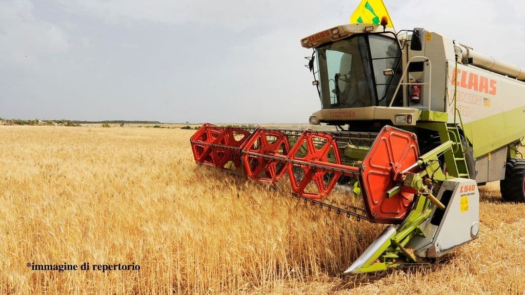 Bimbo di 10 anni soffocato dal grano