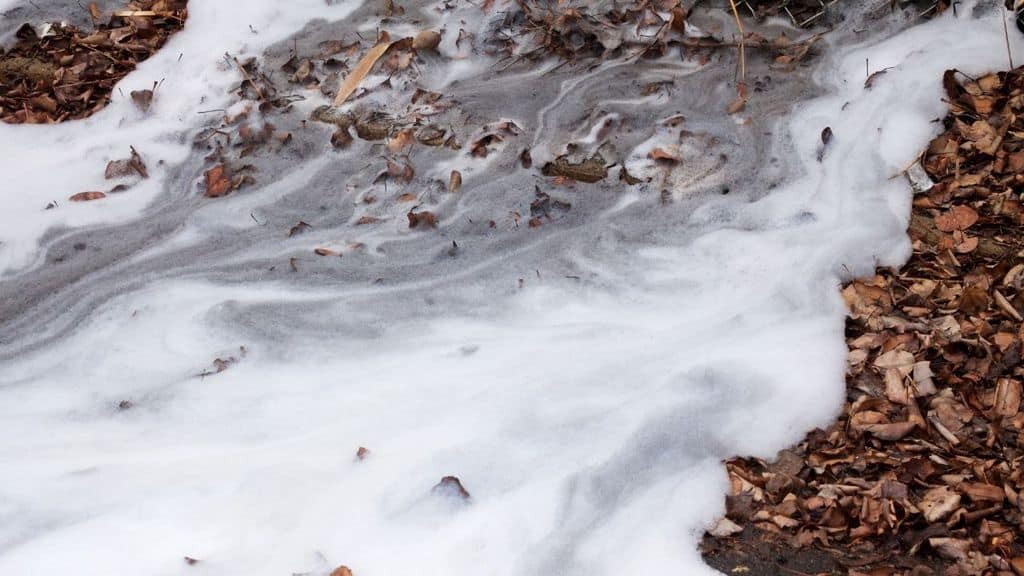 Che cosa sono i Pfas, sostanze chimiche nocive per l'ambiente