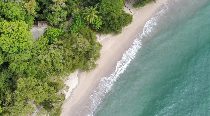 la strategia per la biodiversità è stata approvata dall'europarlamento