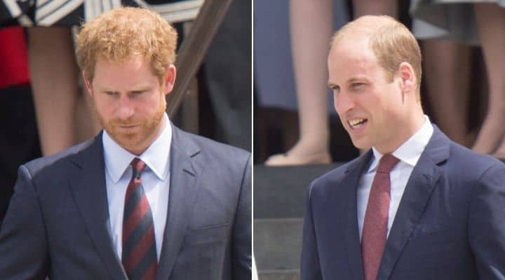 William e Harry riuniti per omaggiare Diana: l’annuncio da Kensington Palace a pochi giorni dall’evento