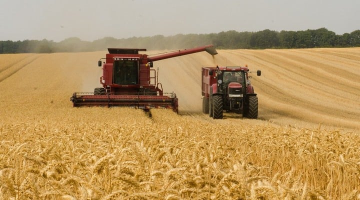 agricoltura, produzione alimentare