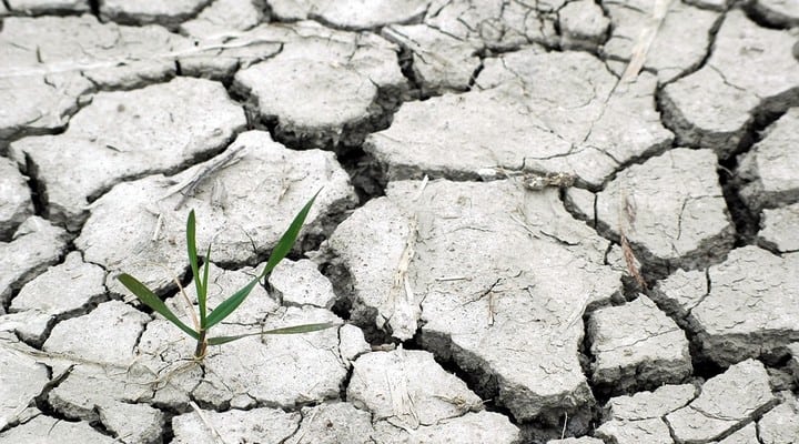 cambiamento climatico, caldo, siccità