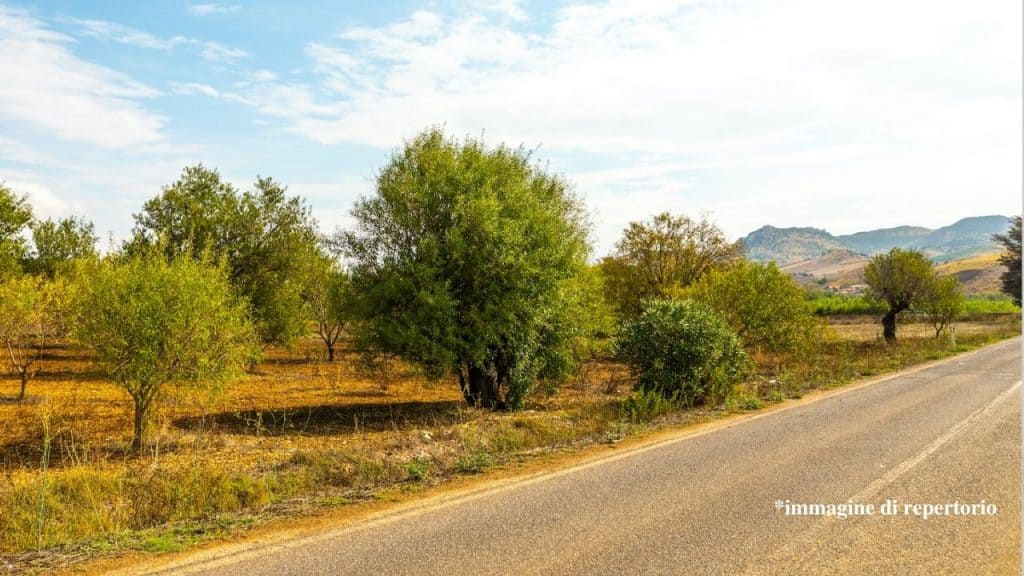 Poliziotto della stradale investito mentre presta soccorso a Nuoro. Travolto, è morto sul colpo Poliziotto della stradale investito mentre presta soccorso a Nuoro. Travolto, è morto sul colpo