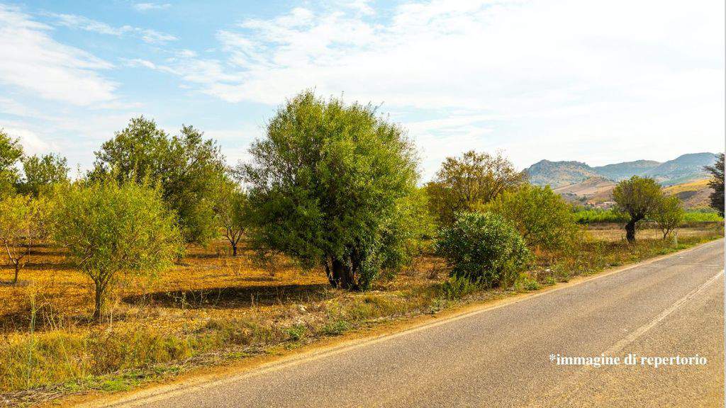 Incidente mortale in Sardegna, muore agente della Polstrada