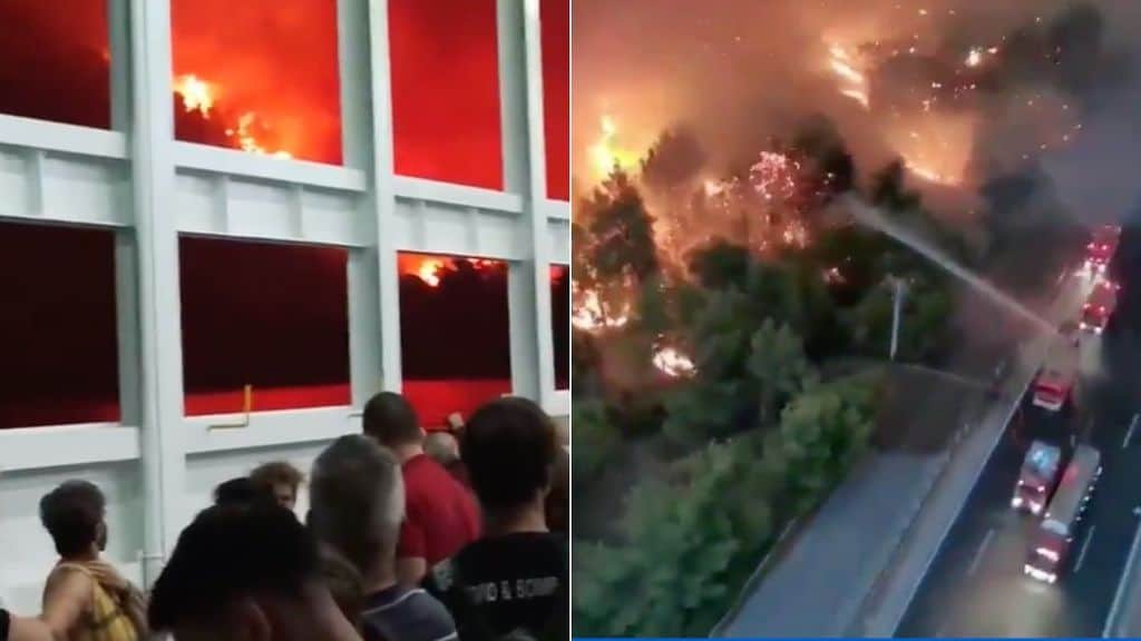 incendi in grecia