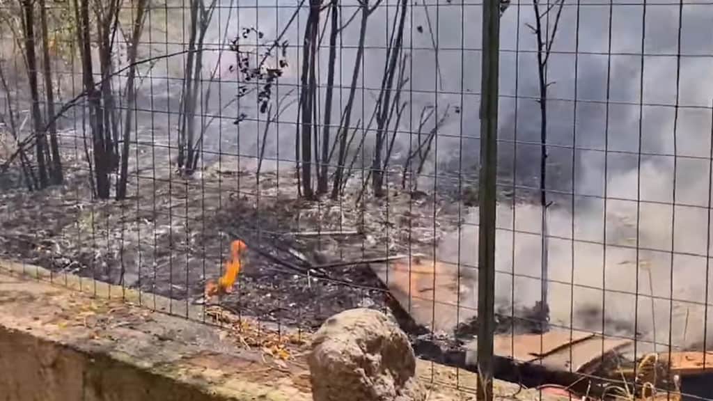 Incendi in Calabria. Due morti a Reggio