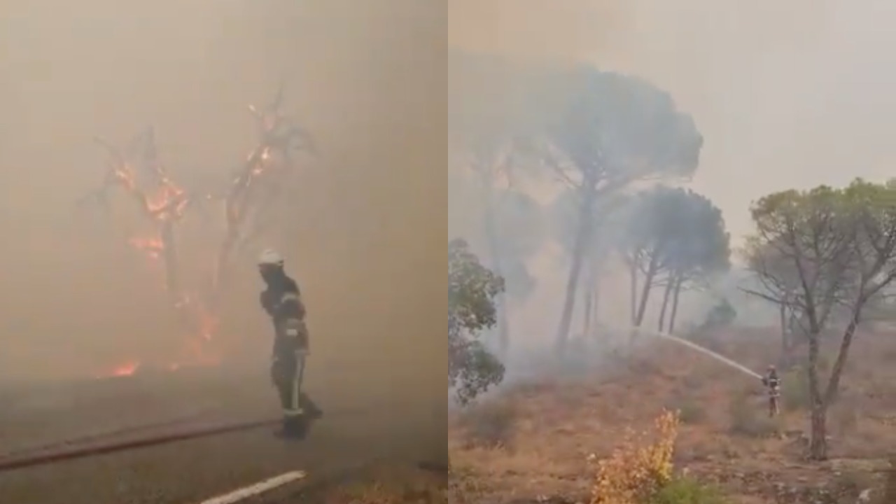vigili del fuoco francia incendi