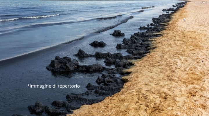 Quasi 500 litri di petrolio in mare: allarme in California per il guasto di un oleodotto al largo. Le immagini