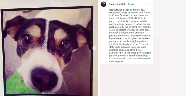 francesco facchinetti saluta il cane