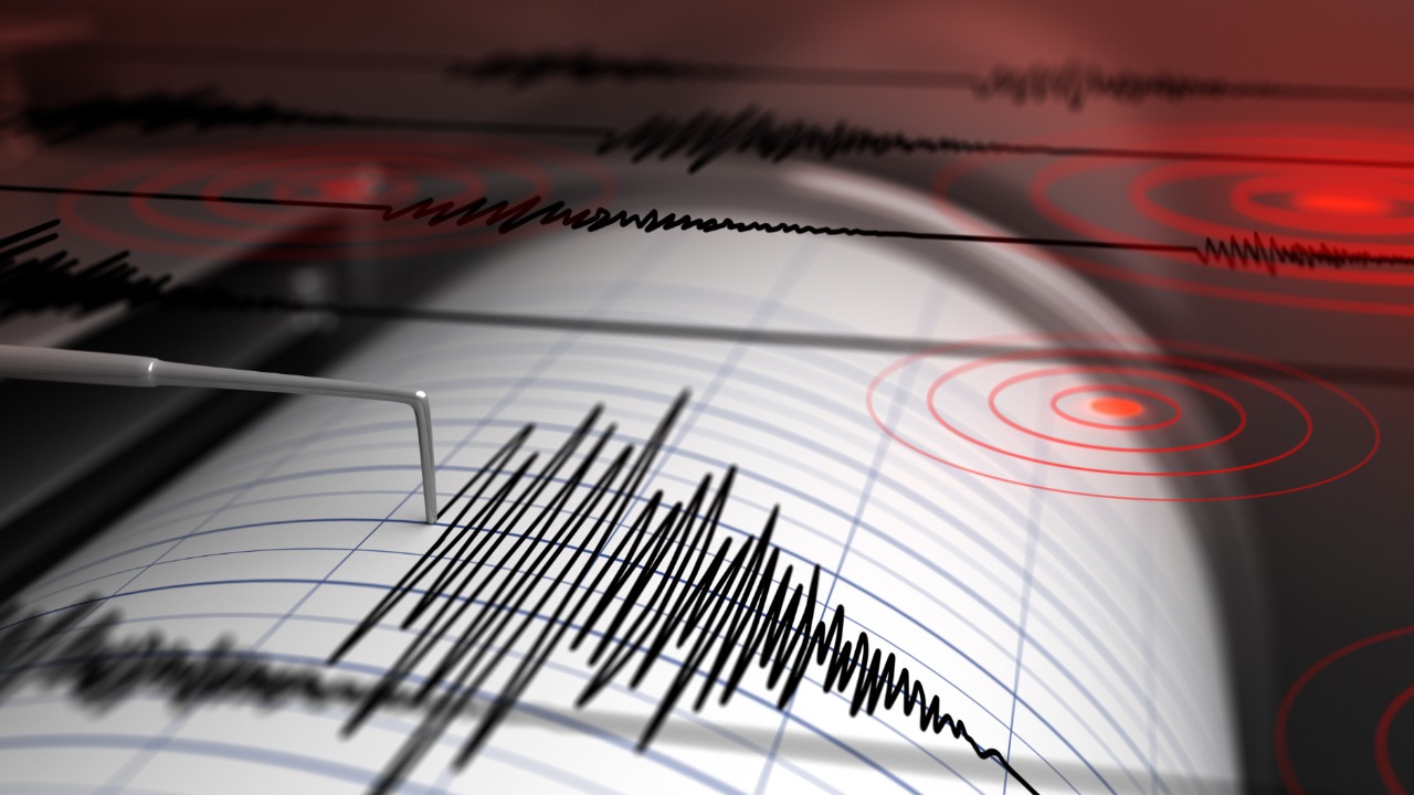 Terremoto marche