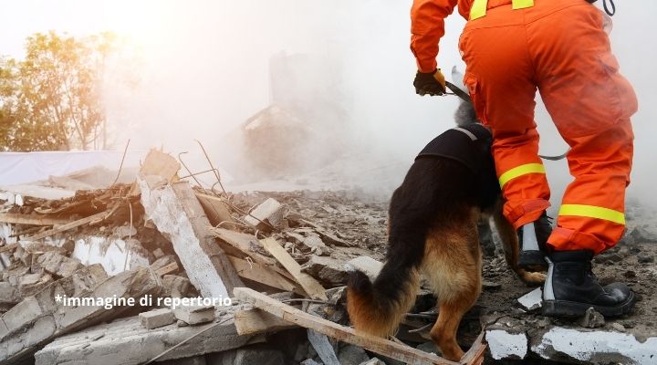 Cane soccorso