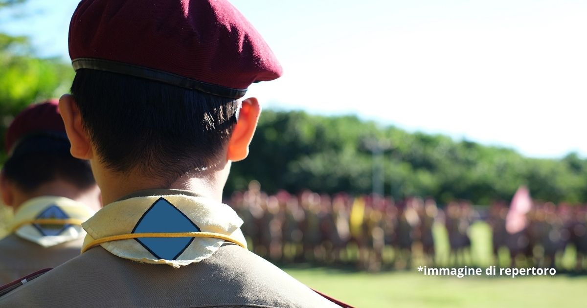 Scout