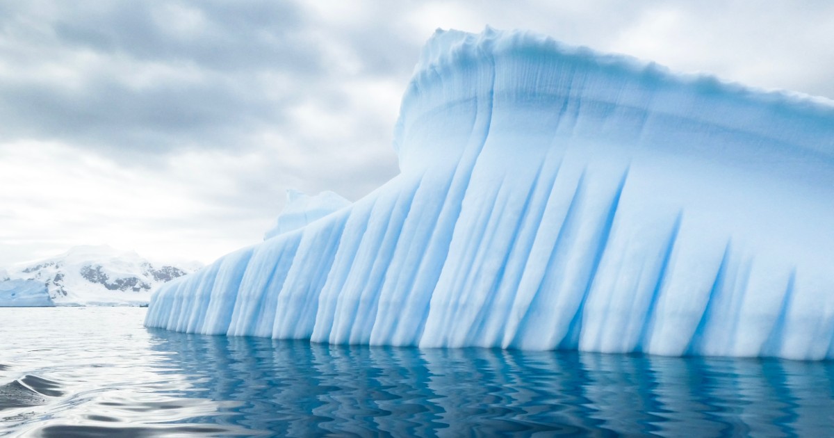 cambiamenti climatici il ruolo della corrente circumpolare antartica