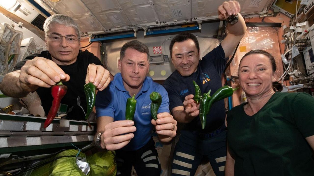 equipaggio Crew Dragon della SpaceX