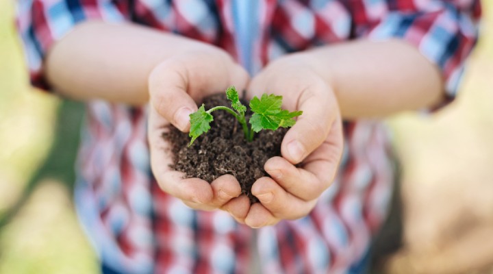 sostenibilità e ambiente progetti dei ragazzi nelle scuole