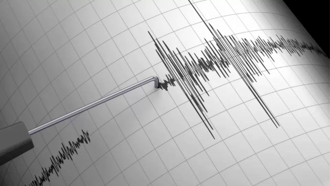 terremoto livorno