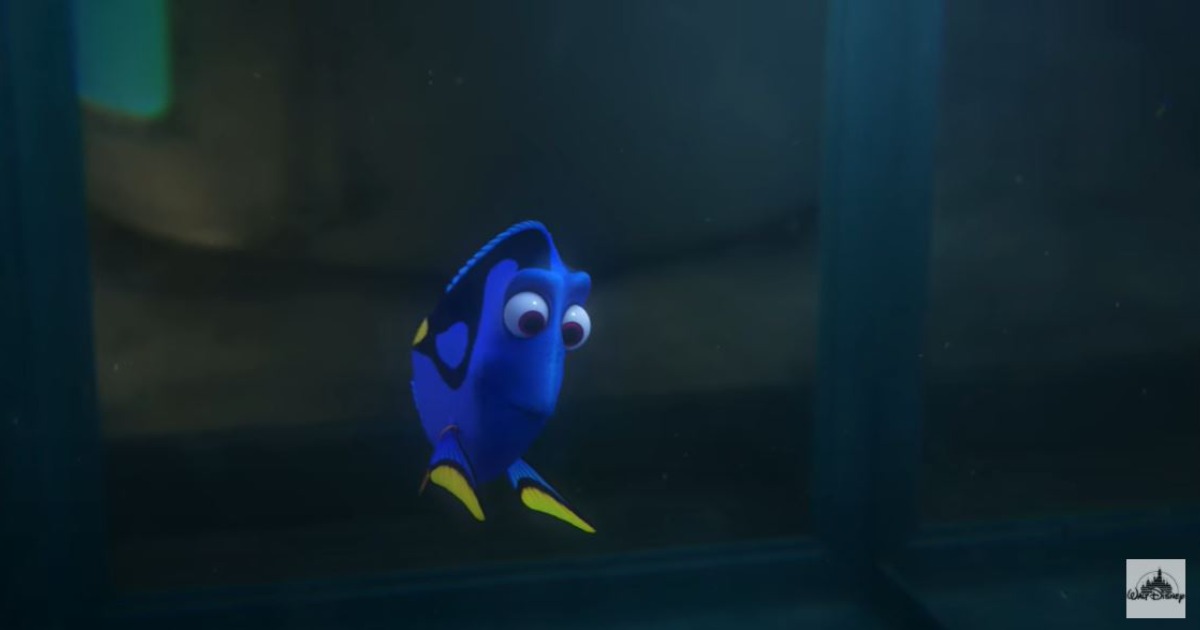 Alla ricerca di Dory