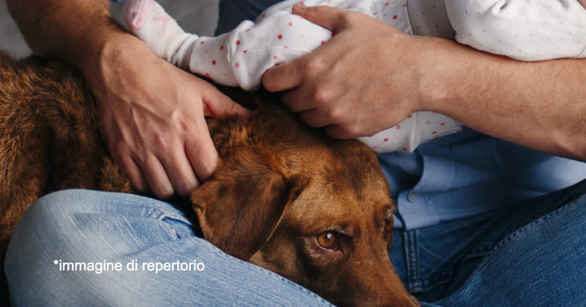 Bambina di 9 mesi fatica a respirare, il cane di famiglia avvisa i genitori e salva la piccola