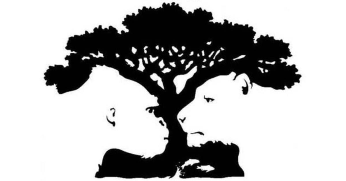 Test psicologico della Gestalt: gorilla, tigre, albero o pesci. Cosa dice di noi ciò che vediamo per primo