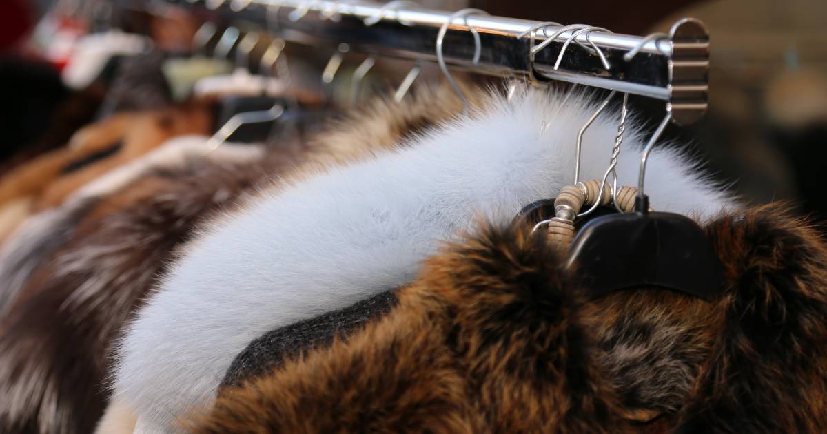 L’Italia dice no alle pellicce vere e dispone la chiusura degli ultimi allevamenti di visoni