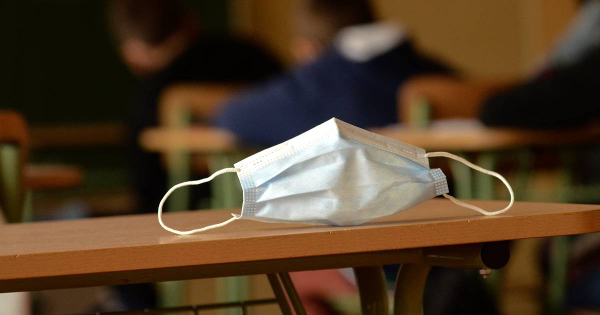 sciopero scuola 10 dicembre sigle e motivazioni