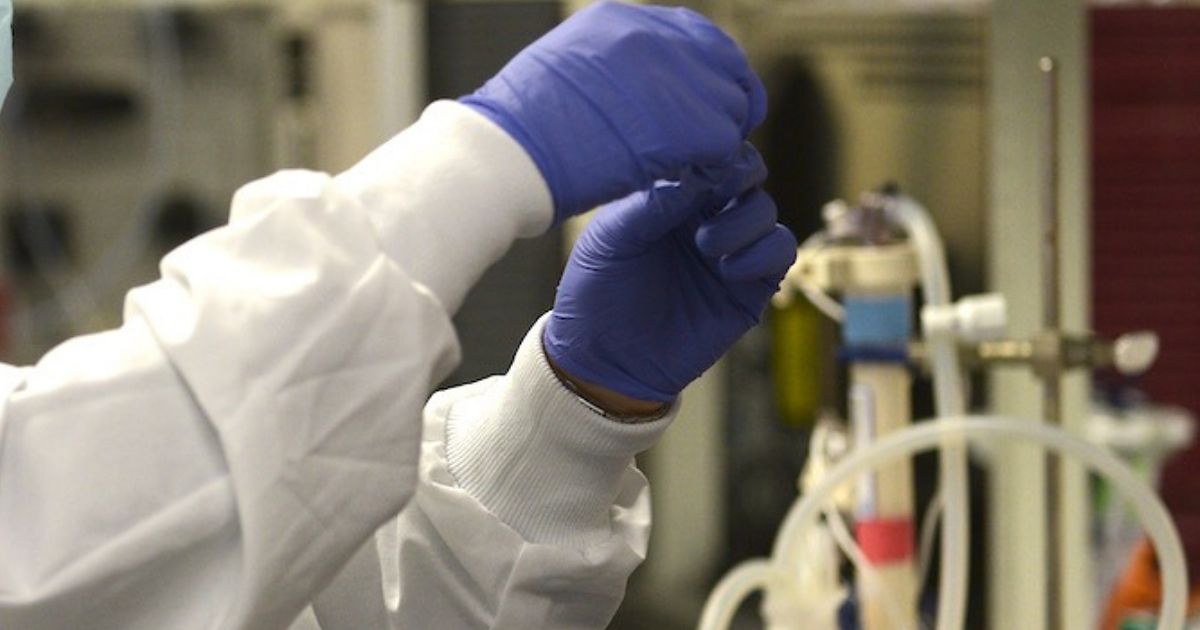 Il premio nobel per la medicina assegnato agli scienziati che hanno creato il vaccino contro il Covid Il premio nobel per la medicina assegnato agli scienziati che hanno creato il vaccino contro il Covid