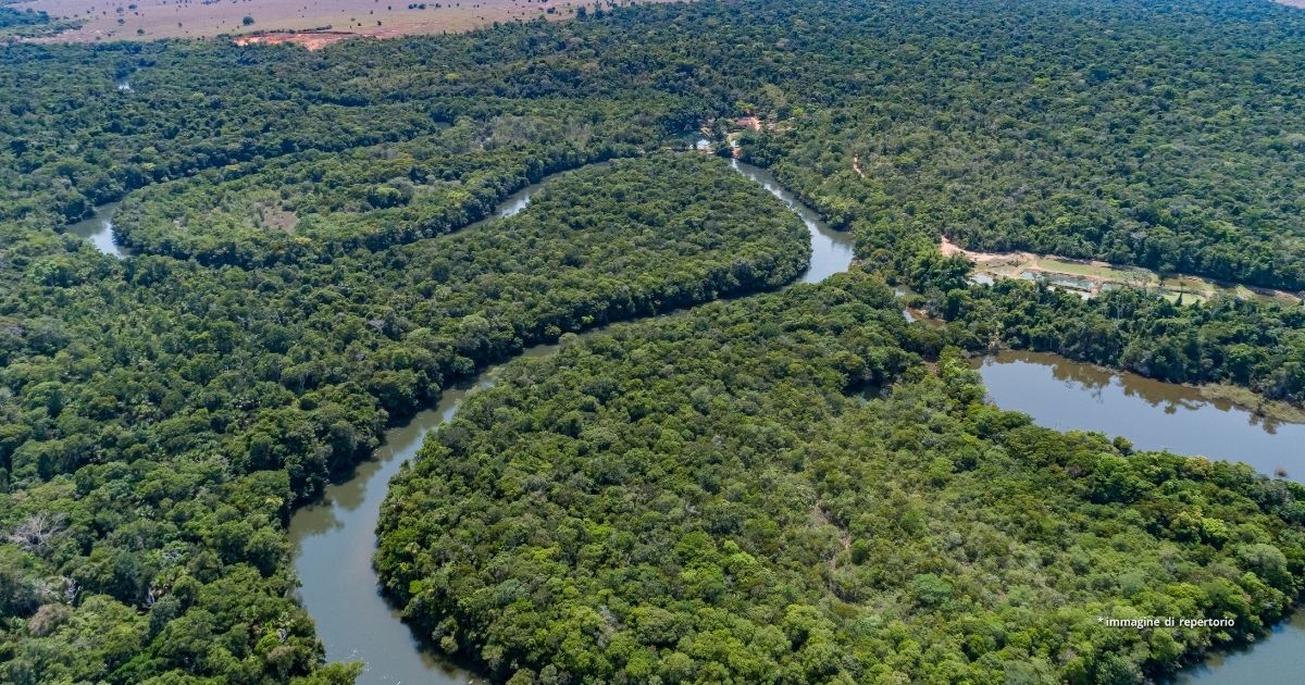 Cammina 12 ore con il padre in spalla per farlo vaccinare contro il Covid: la foto dall'Amazzonia è virale