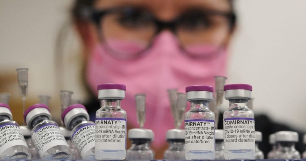 Obbligo vaccinale contro il Covid-19 in Austria, è il primo Paese in Europa: "Decisione storica"