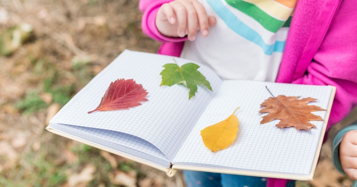 bambina con quaderno con foglie