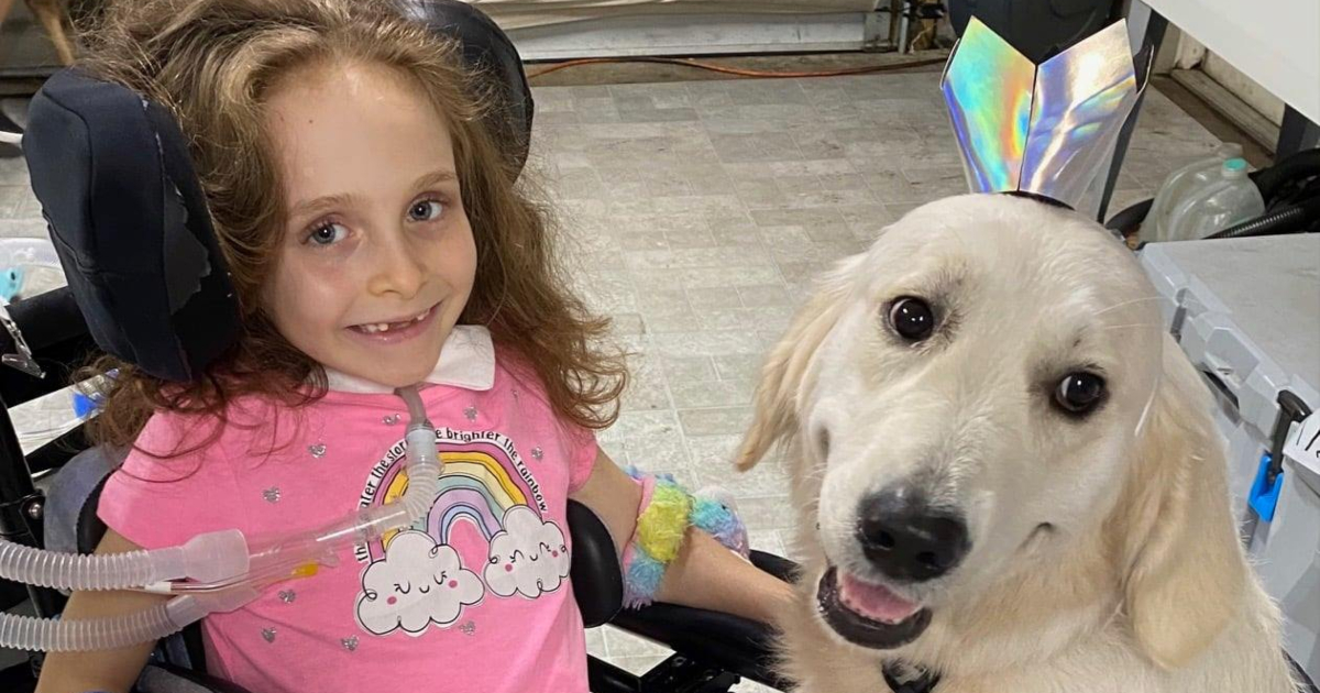 Bimba di 8 anni paralizzata ha una nuova vita grazie al suo cane guida: "Juliet è lì per lei e sa cosa fare"