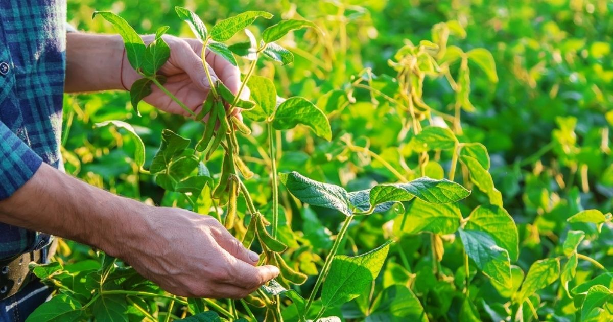 La tutela dell'ambiente entra in Costituzione: svolta epocale in Italia, la soddisfazione dei ministri