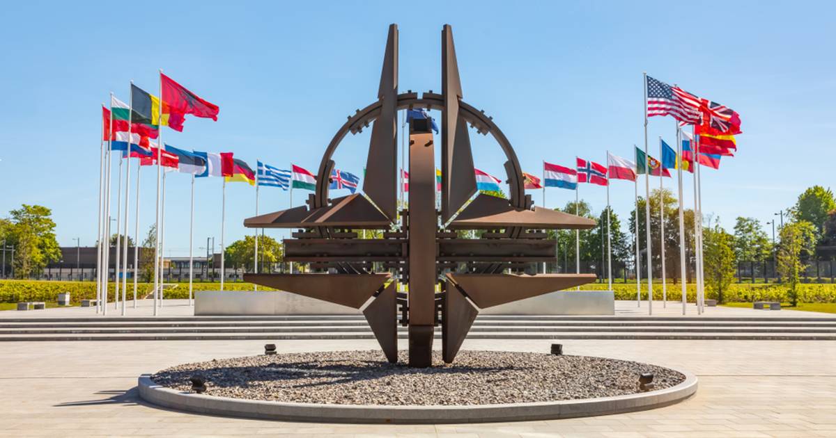 Che cos'è la NATO e quali Stati ne fanno parte oggi: la storia dell'Alleanza Atlantica e la questione dell'Ucraina