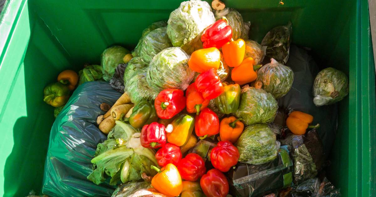 Quanto cibo buttiamo via ogni anno e quali alimenti finiscono nella spazzatura: i dati allarmanti