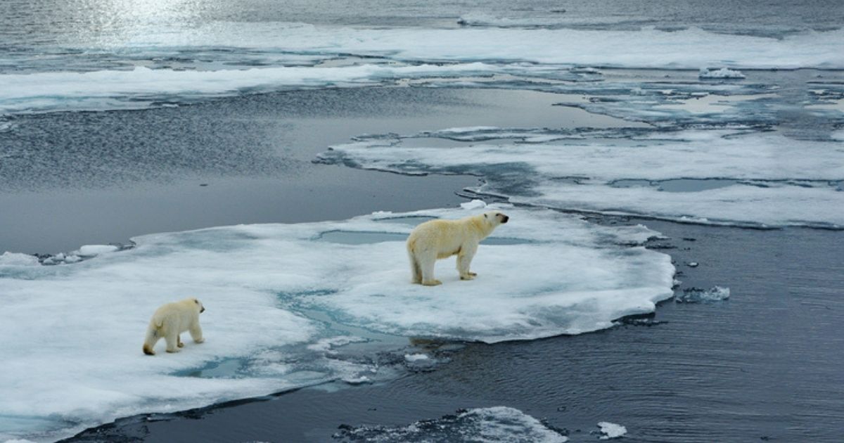 Earth Hour 2022: Sabato 26 Marzo le luci di molte città si spengono per tutelare il pianeta e la biodiversità