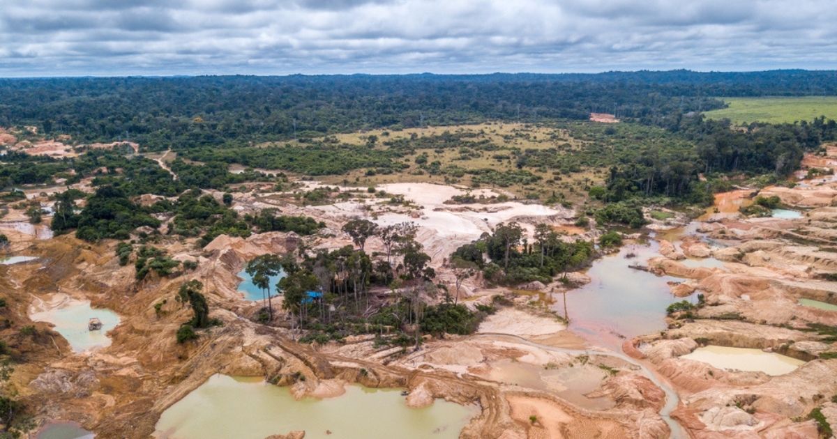 La foresta pluviale amazzonica in agonia: vicina al punto di non ritorno, rischia di trasformarsi in savana