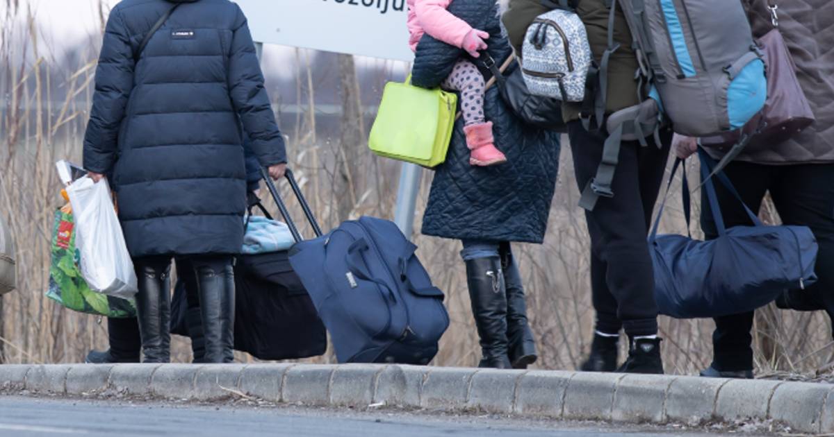 Profughi della guerra in Ucraina, le proposte di solidarietà dall'Europa tra nuovi fondi e mezzi pubblici gratis