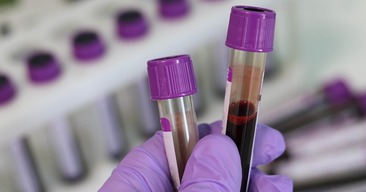 Tracce di microplastica nel sangue umano, l’allarme degli scienziati: “Possibili danni alle cellule”