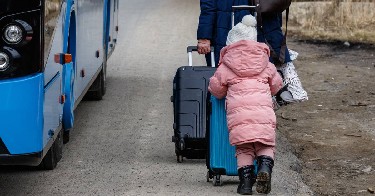 Scuola, l'Italia accoglie gli studenti ucraini in fuga dalla guerra: il progetto del Ministero dell'Istruzione