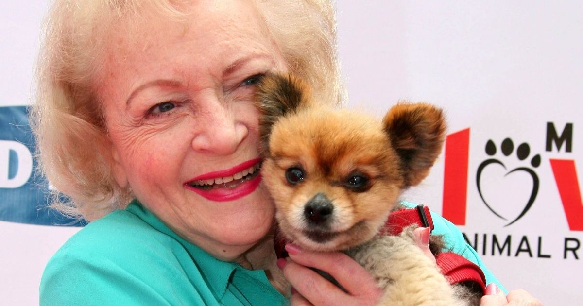 Rifugio di asini in Texas omaggia Betty White: l'attrice era una delle maggiori donatrici. Il gesto