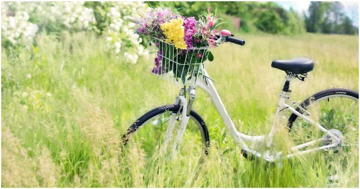 Bonus biciclette e monopattini: cos’è, tutti i requisiti e come richiederlo per la mobilità sostenibile