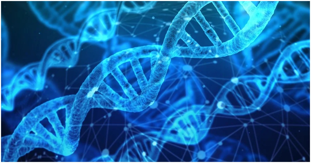 Il genoma umano è stato completamente sequenziato: la scoperta è storica, come potrà aiutare nella cura alle malattie
