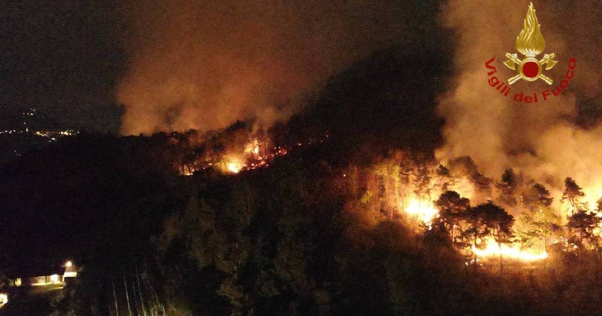 Violento incendio distrugge enorme area boschiva nella notte in provincia di Varese. Il video