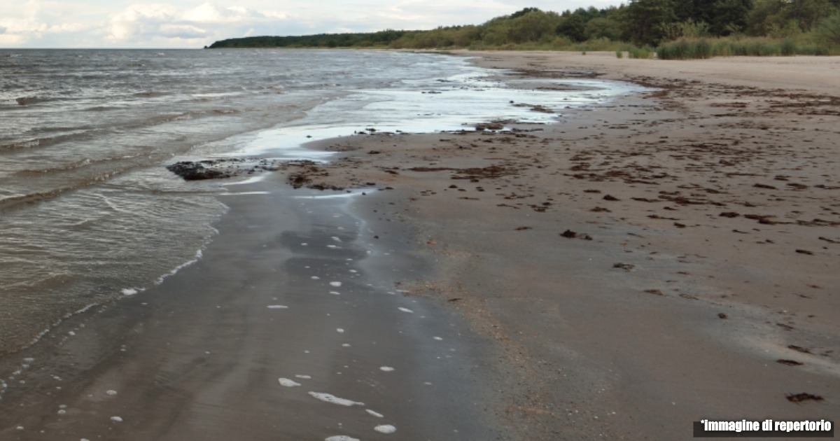 Cadavere di donna trovato in spiaggia a Marina di Massa: ne era stata denunciata la scomparsa