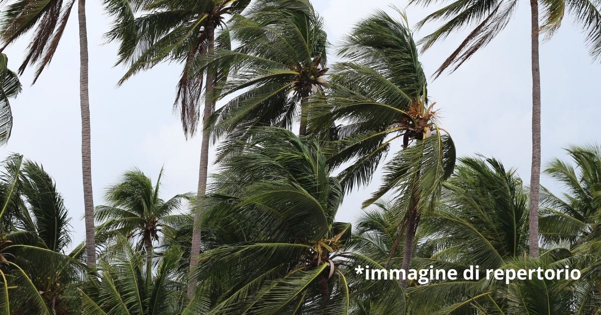 Allerta meteo per Pasqua e Pasquetta: forte vento, mareggiate e precipitazioni. Le regioni interessate
