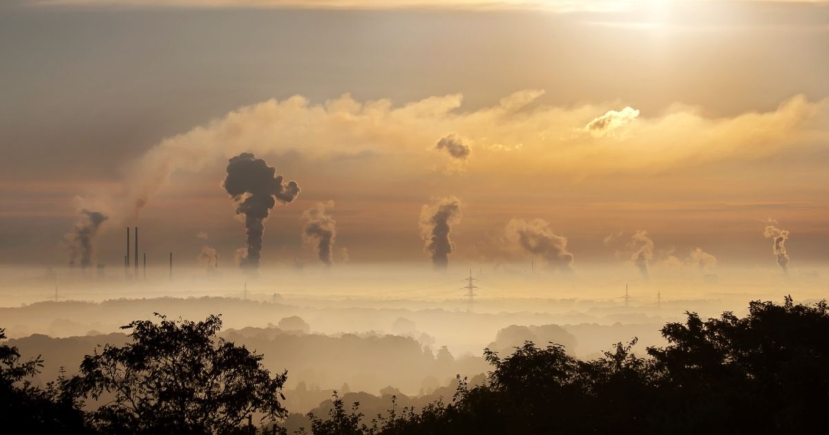 Denuncia lo Stato per l’inquinamento dell’aria: la sentenza potrebbe rivoluzionare il sistema Europeo
