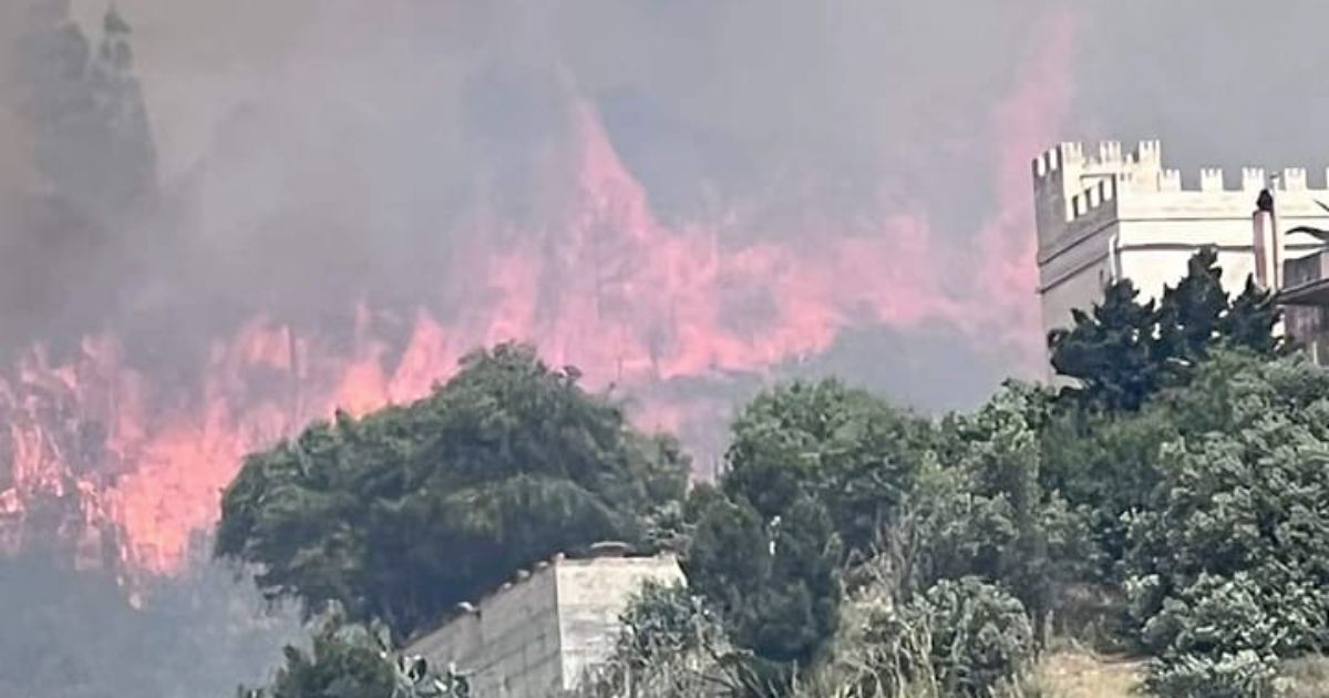 Incendio a Erice, vasto rogo sulla montagna vicino Trapani: evacuate le case, le foto e video delle fiamme