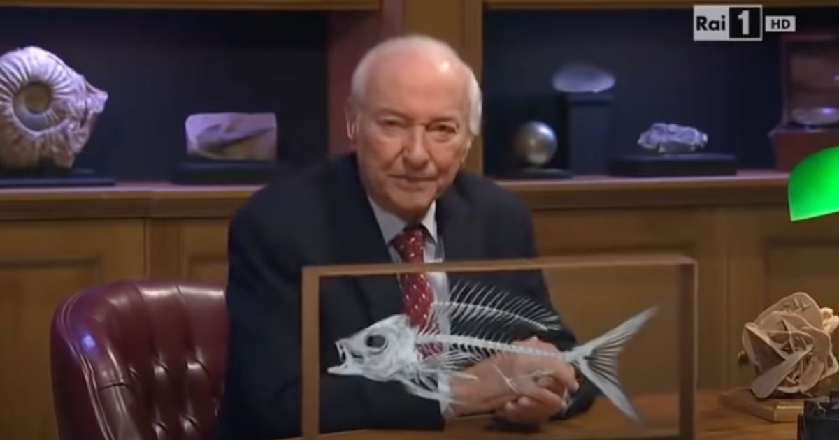 La pagella di Piero Angela al liceo: che voti aveva il padre di SuperQuark quando andava a scuola
