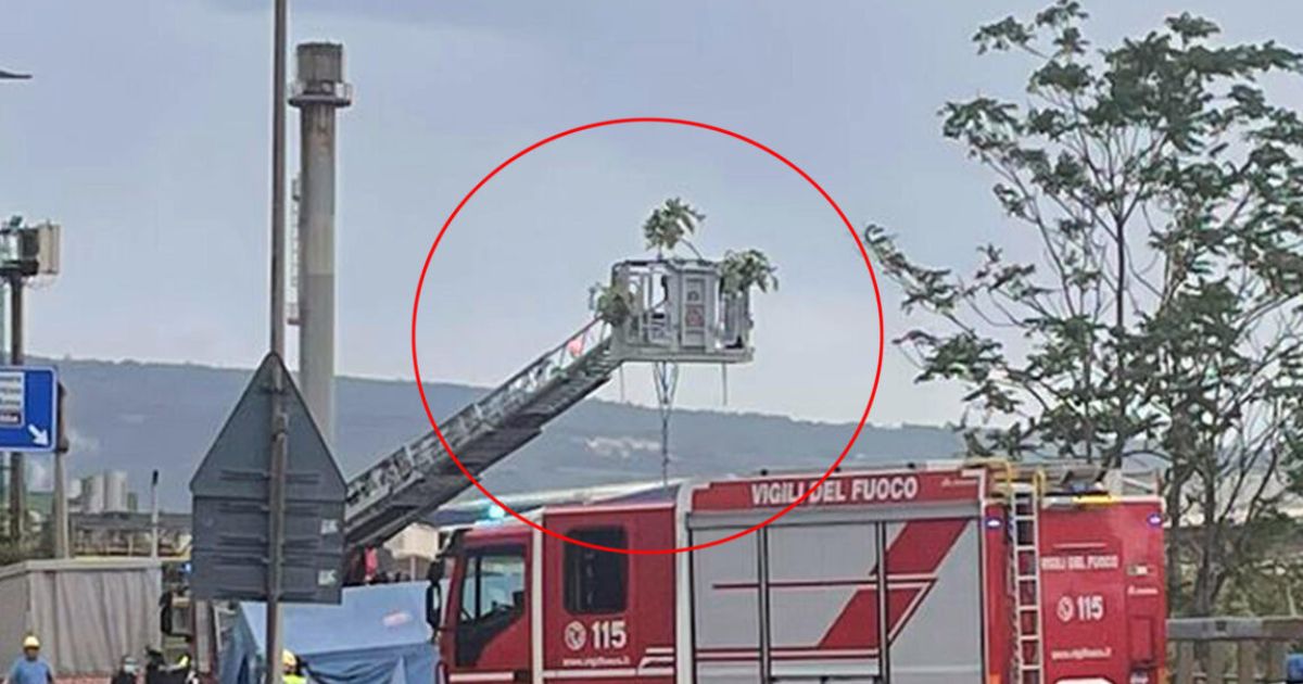 Cadavere Trieste, l’atroce sospetto: esecuzione mafiosa
