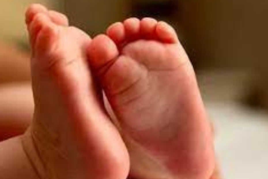 Neonato abbandonato dovrà tornare a madre naturale. Petizione dei genitori affidatari: "Dopo 3 anni un incubo"