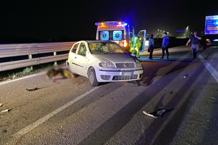 Incidente mortale, stanotte, sull'autostrada A29 Mazara del Vallo-Palermo